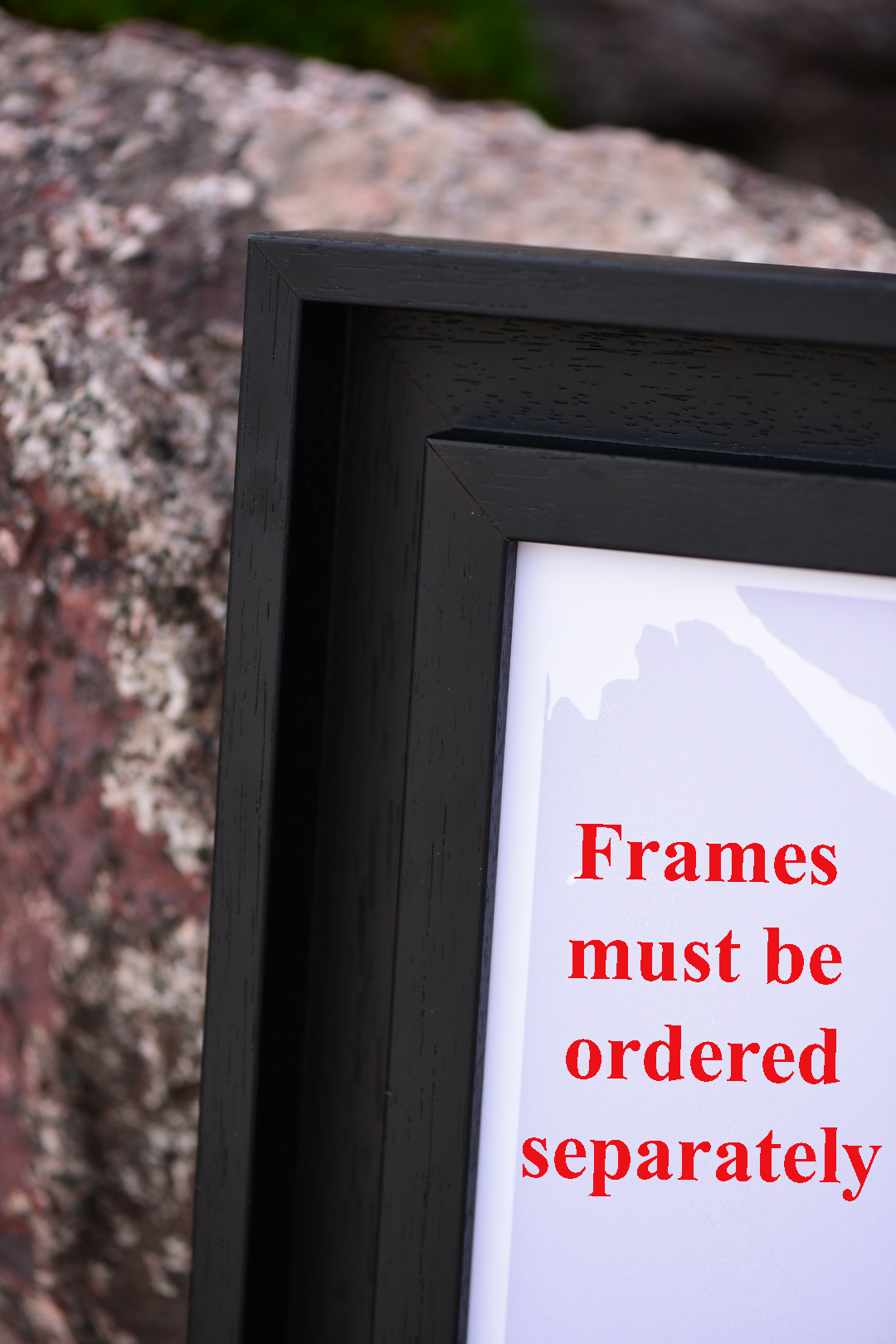 frame frame